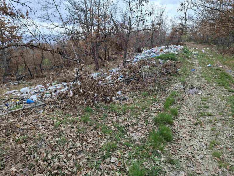 U sred šume ogromna divlja deponija: Novo ekološko upozorenje sa Orahova