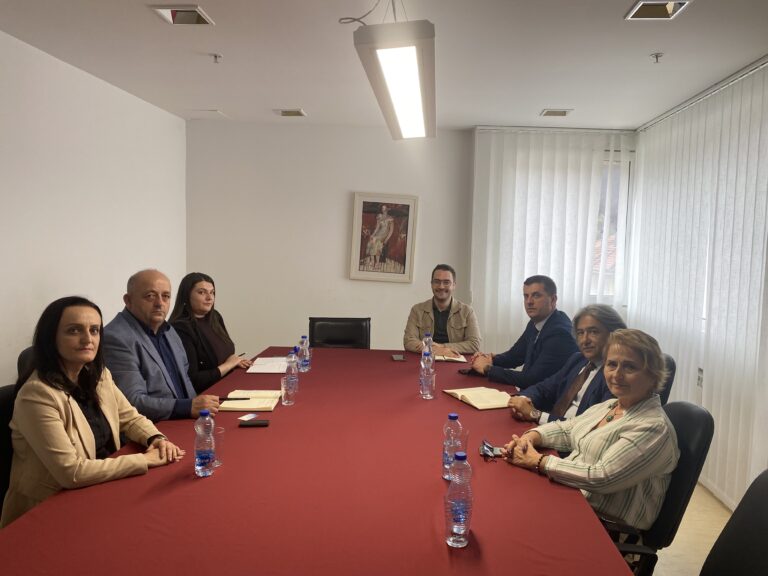 Predsjednik Opštine Petnjica razgovarao sa predstavnicima turske privrede i Ministarstva dijaspore o novim investicijama