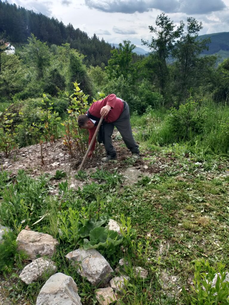 NVO „Mreža nevladinih organizacija“: Uređen park na Kutnjem brdu u Trpezima